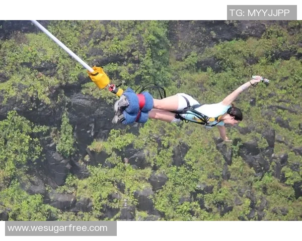 杭州攀岩队在极限运动联赛中的精彩表现与节奏分析