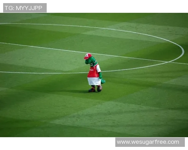 吴娜独家揭秘足球技巧与战术分享助你提升球技的秘诀