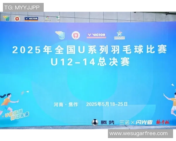南京羽毛球队总决赛技术表现分析与未来发展展望 南京羽毛球队总决赛技术表现分析与未来发展展望