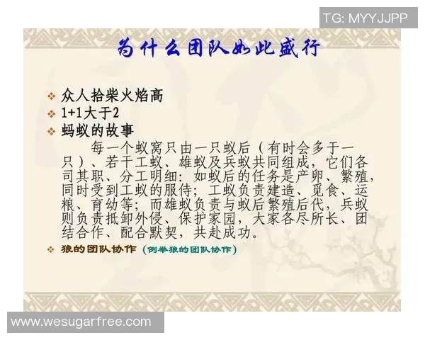 深圳乒乓球队的团队协作之道:凝聚力与默契的完美结合 深圳乒乓球队的团队协作之道:凝聚力与默契的完美结合