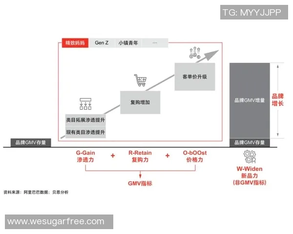 深入分析成都篮球队的运营策略与市场推广模式