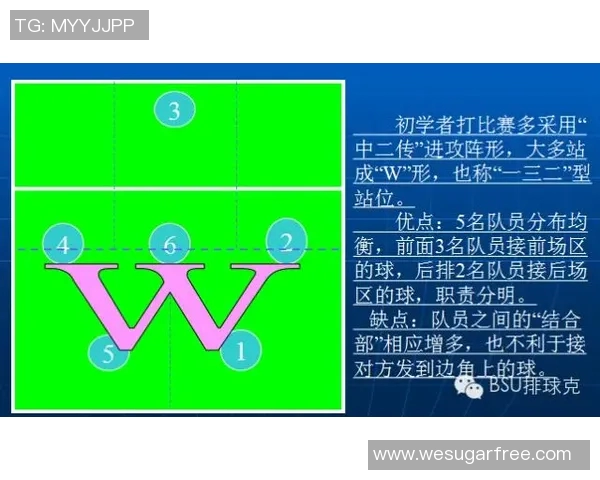 深圳排球队边路渗透战术解析与深度剖析排球技术的魅力与挑战 深圳排球队边路渗透战术解析与深度剖析排球技术的魅力与挑战