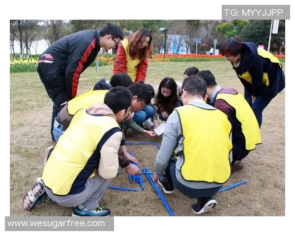 上海排球队在欧锦赛中的团队协作展现出无与伦比的默契与实力